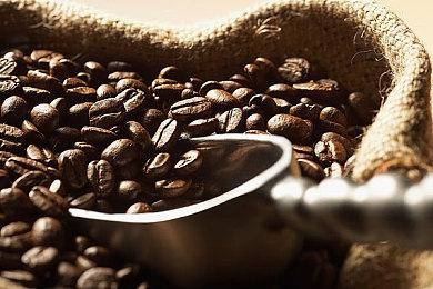 《拾荒者》主机版取消 开发商将投入新项目开发